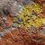 Lichen-plan : les remèdes naturels