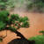 Les thermes de Beppu et les bains Yunohana