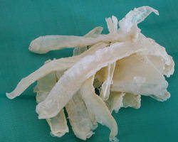 chitosan