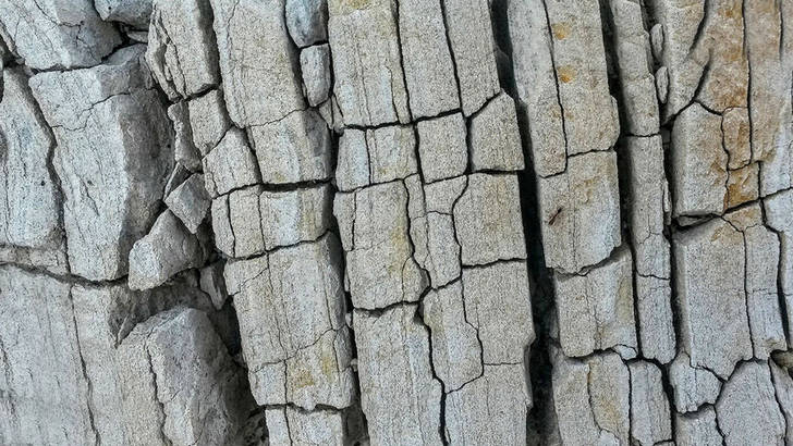 Fracture osseuse: comment récupérer naturellement