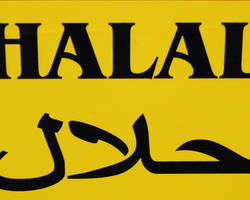Halal, une méthode d'abattage effrayante