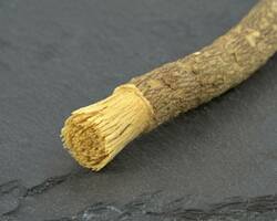 Siwak : pourquoi est-il si apprécié pour le lavage des dents ?