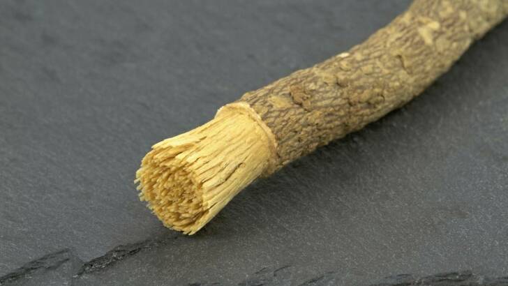 Siwak : pourquoi est-il si apprécié pour le lavage des dents ?