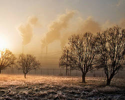 Pollution et plantes