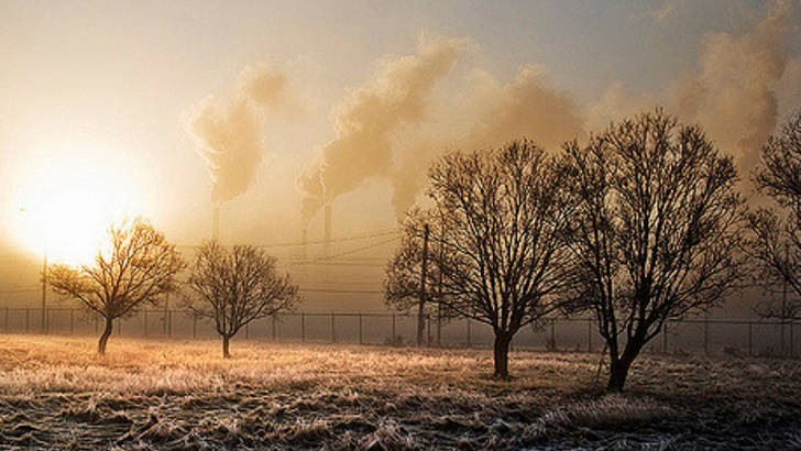 Pollution et plantes