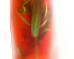 Les vinaigres de la santé