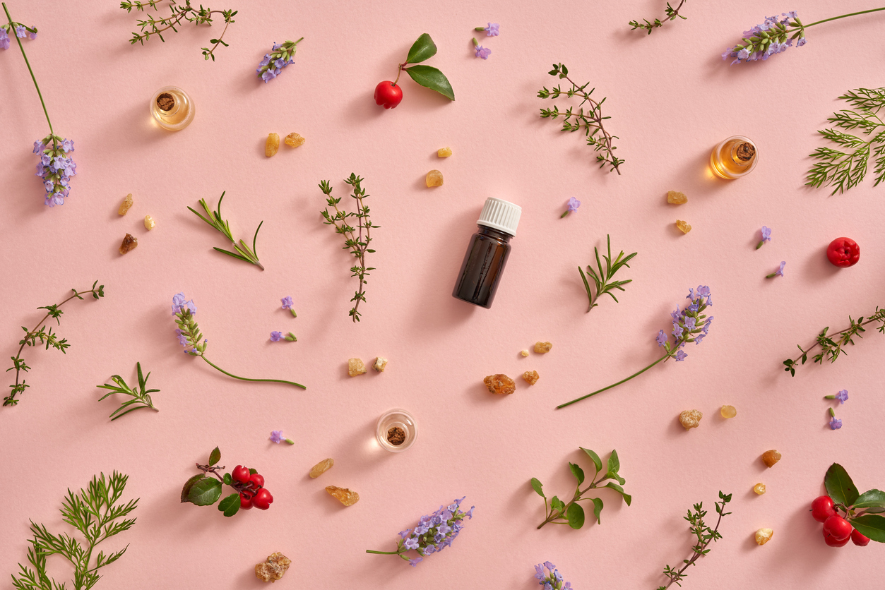 aromathérapie les bienfaits des plantes